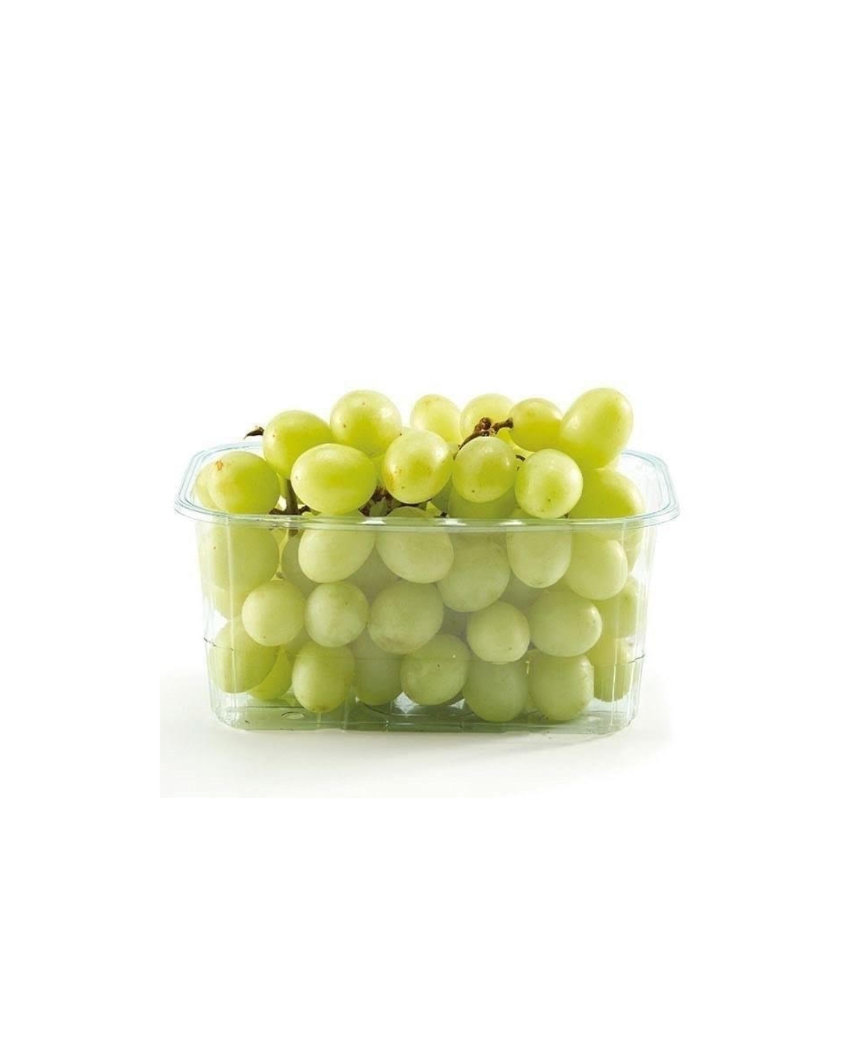 Plastične posude za voće - ORASAR